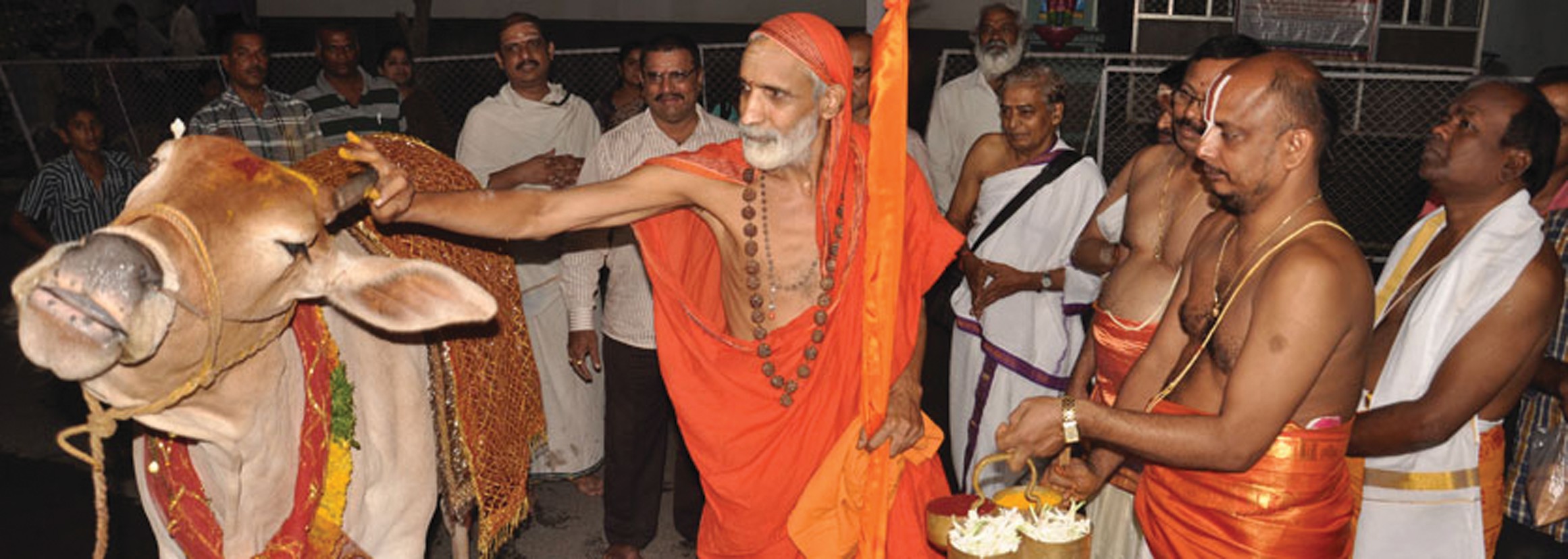 ഗാവോ വിശ്വസ്യ മാതരഃ - വിശേഷം