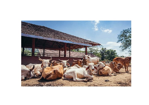ಕ್ಷೇತ್ರದರ್ಶನ